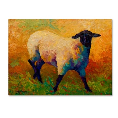 Marion Rose 'Ewe Portrait IV' Canvas Art,14x19